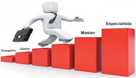 A escalada rumo à excelência profissional Cargos nos planos de carreira