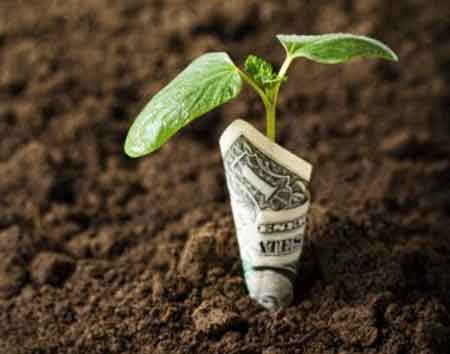Importância dos investimentos